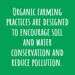 Organic Farming