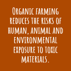 Organic Farming