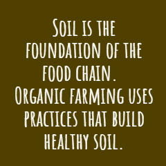 Organic Soil