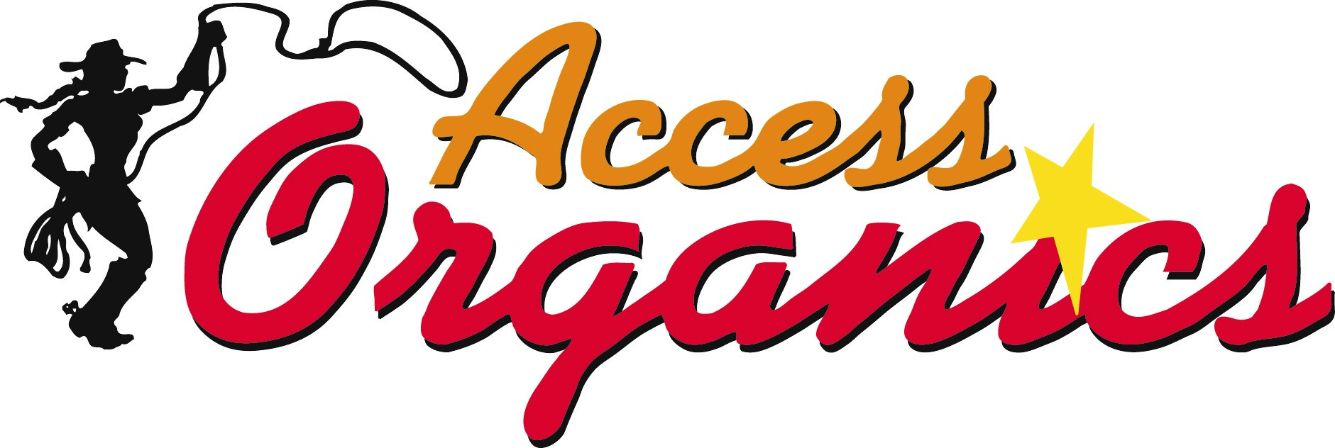 Access logo (2)