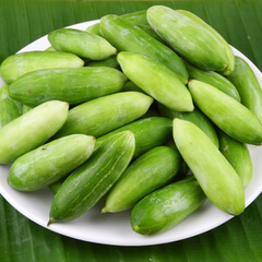 Tindora (Ivy Gourd)